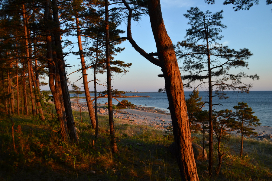 Reisi Eestis: 8 põhjust Matsirannas peesitamiseks