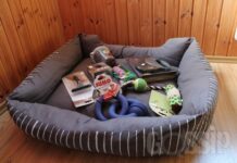 Helena-Reet: Me võtame koera (vol2) – Ettevalmistused