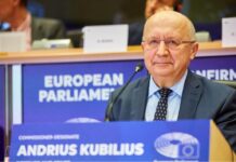 Euroopa Komisjoni kaitsevolinik Andrius Kubilius