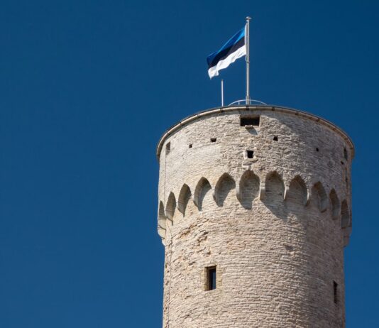 Eesti riigi tuleviku kujundamisel saavad kaasa rääkida vaid kodanikud