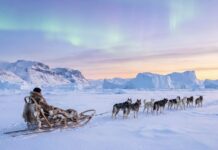 Talvel sõidetakse Gröönimaal ka koerarakenditega (NordenBladet)