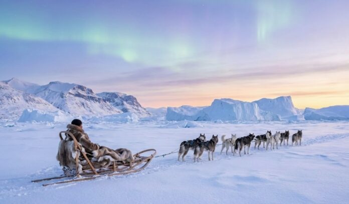 Talvel sõidetakse Gröönimaal ka koerarakenditega (NordenBladet)