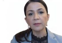 Gulan Avci valiti Liberalerna esinumbriks Stockholmis