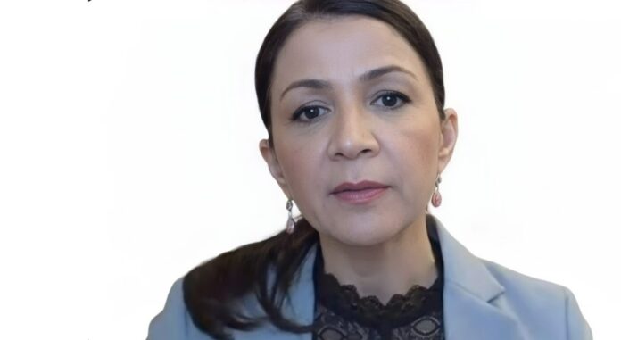 Gulan Avci valiti Liberalerna esinumbriks Stockholmis