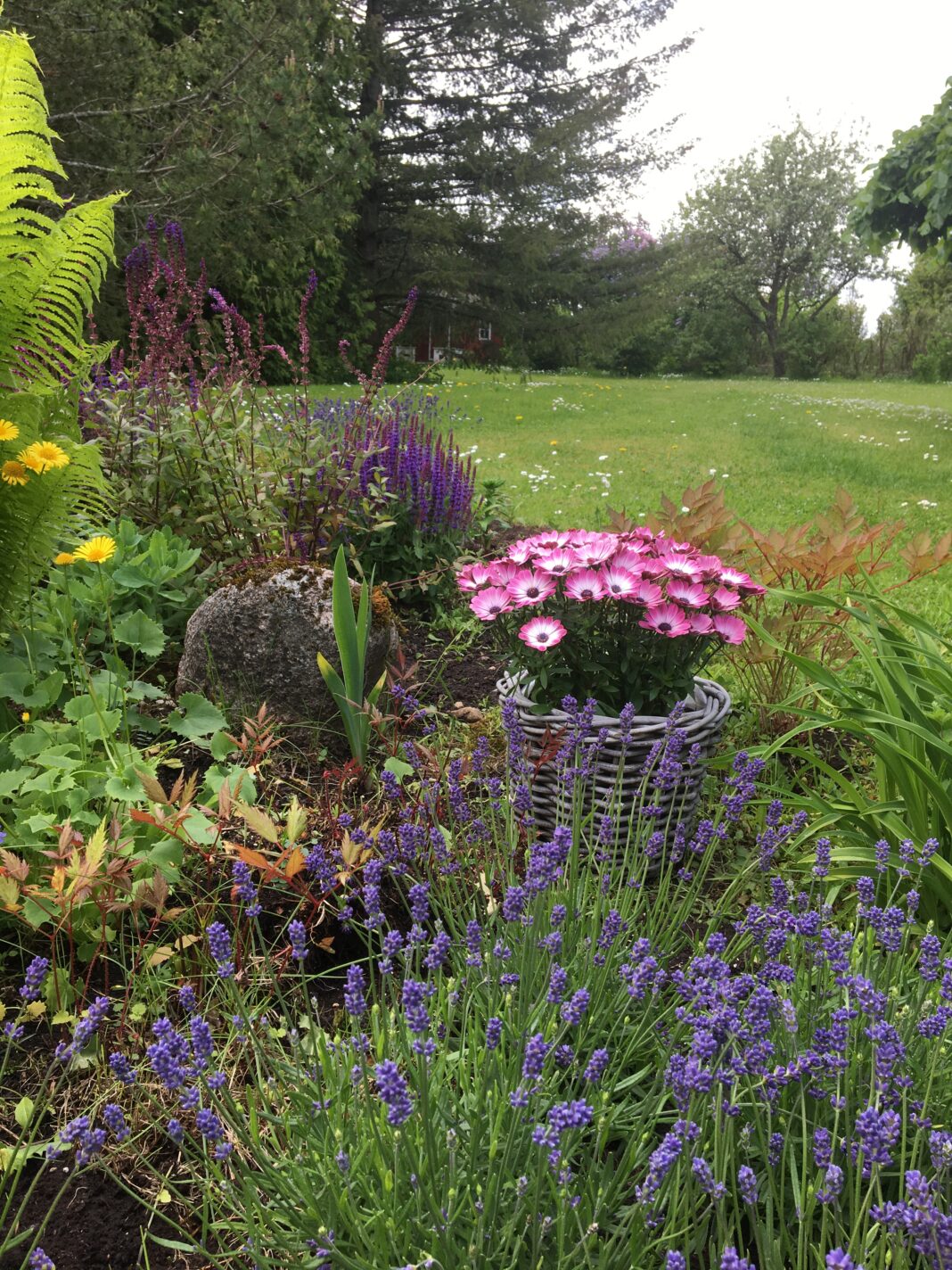 Kodu, aed, aednik, lillepeenar, aiablogi