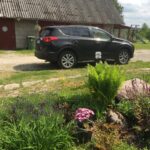 kodu, aed, lilled, lillepeenar, lavendel