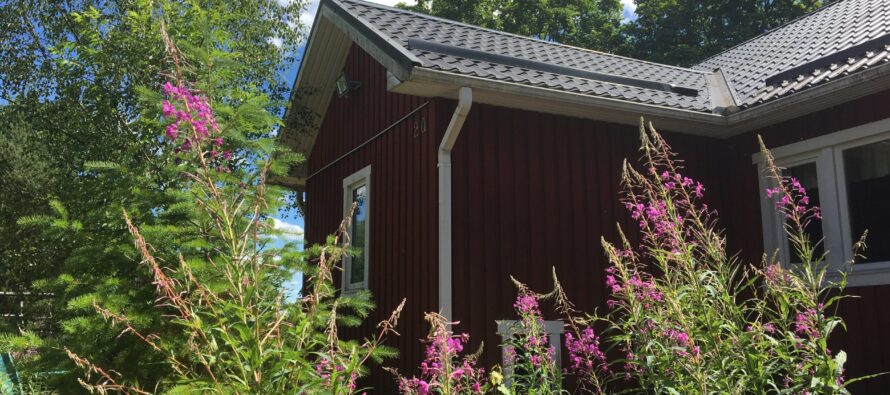 Helena-Reet: Üllatus Allanilt, hetke lemmikaktsiad, kodu energiasäästlikumaks muutmine ning juuli aias!