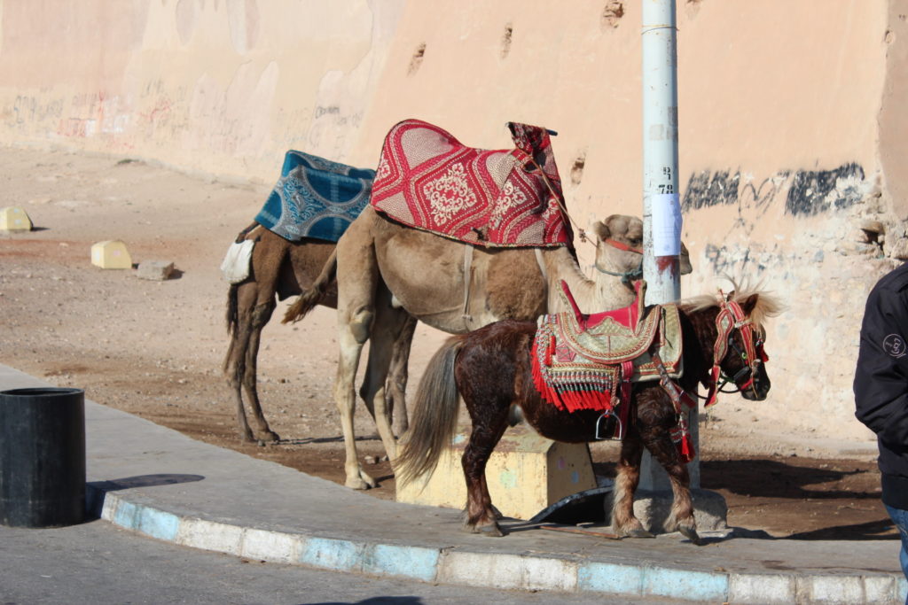 AGADIR, Morocco