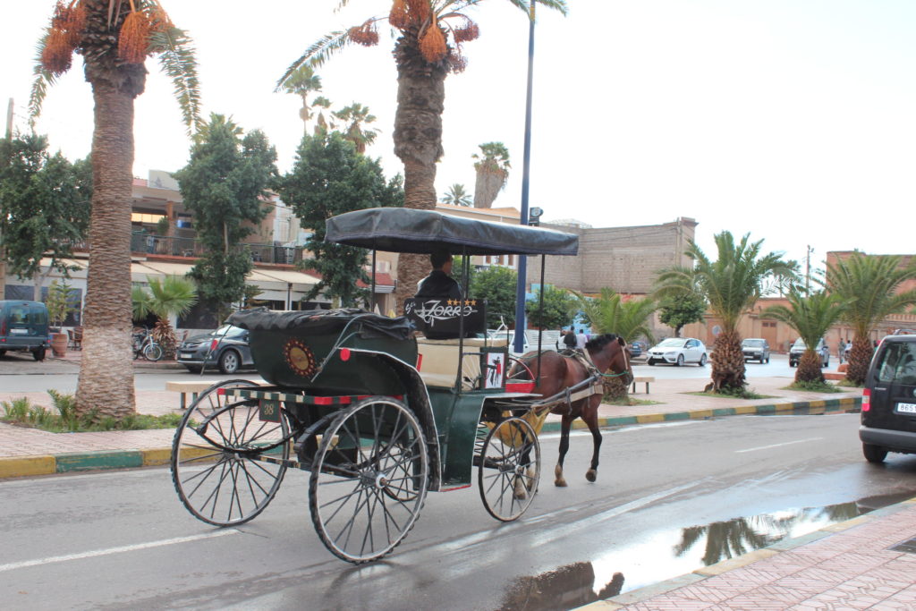 Taroudant city, Morocco