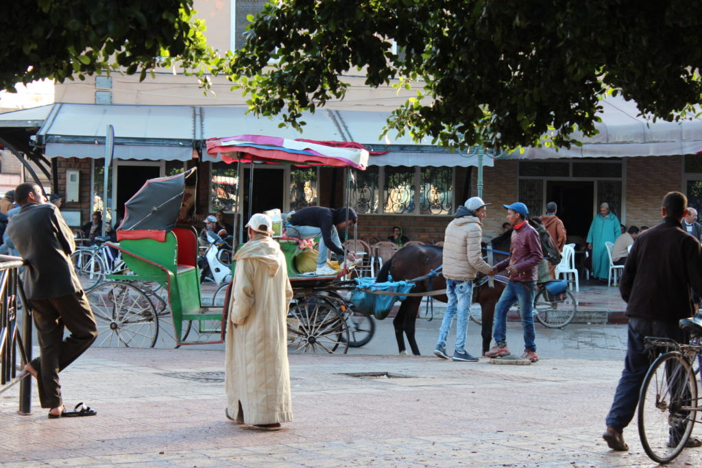 Taroudant city, Morocco