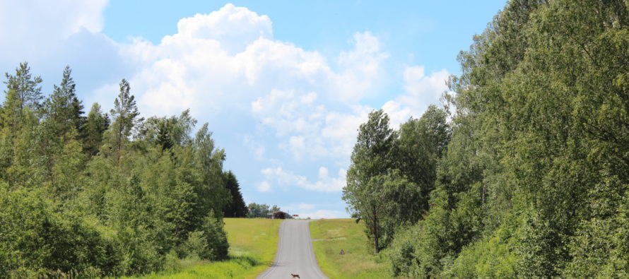 Helena-Reet: Puhkus (vol 2) – RuudikĂĽla Viljandis