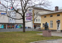 Soome demograaf: Kadumas on maale elama mineku vaimustus, paljud tahavad linna tagasi