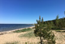 Kliimaministeerium alustab Eesti looduse taastamise kava koostamist Eesti looduse taastamine