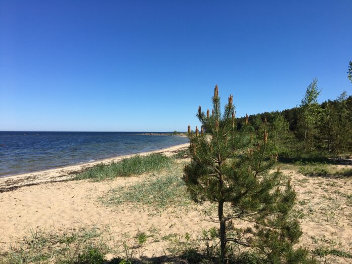 laulasmaa, loodus, meri Eesti looduse taastamine