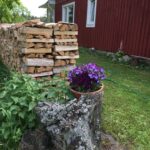 Skandinaavia blogija, Põhjamaine aed, aiandus, aiablogi, elu maal, heaolu, aiablogija, elustiiliblogi, kaunis aed