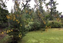 21. mai – Looduskaitsepäev: Eesti looduse hoidmise ja väärtustamise päev