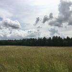 aed, kodu, aiablogi