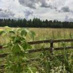 aed, kodu, aiablogi