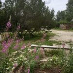 aed, kodu, aiablogi