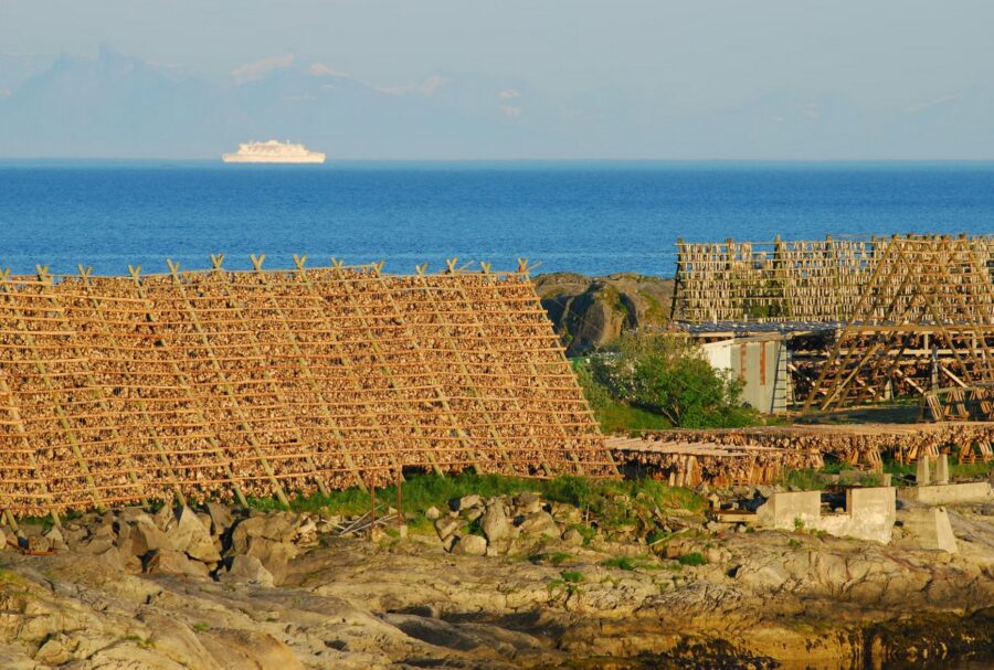 Kala kuivatatakse Lofotenis puitrestidel nimega hjell
