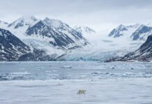 Svalbard saarestik Mandri-Norra ja põhjapooluse vahel: 10 vähemteatud fenomeni Teravmägede kohta Svalbard (eesti keeles sageli ka Teravmäed) on Norra kuningriigi osa, kuid eristaatusega Norra Arktika saarestik