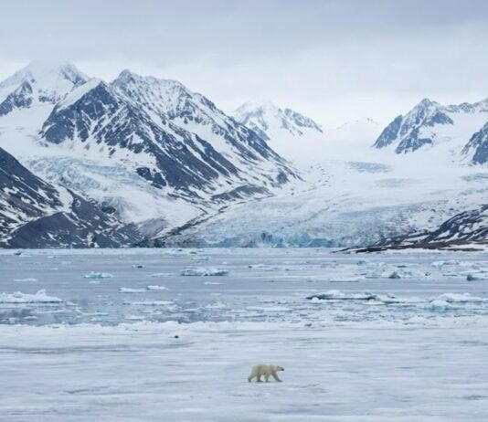 Svalbard (eesti keeles sageli ka Teravmäed) on Norra kuningriigi osa, kuid eristaatusega Norra Arktika saarestik