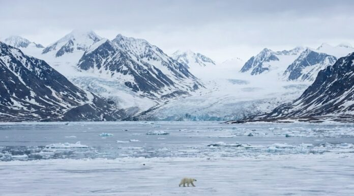 Svalbard saarestik Mandri-Norra ja põhjapooluse vahel: 10 vähemteatud fenomeni Teravmägede kohta Svalbard (eesti keeles sageli ka Teravmäed) on Norra kuningriigi osa, kuid eristaatusega Norra Arktika saarestik