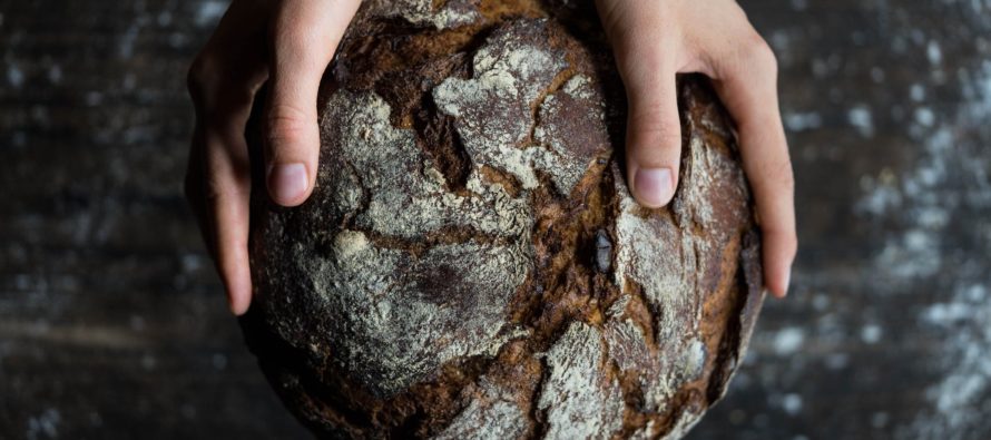 Skandinaavlased on söönud tuhandeid aastaid toitu, mis meeldib soolebakteritele üle kõige