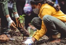 Eesti: Paraneb hoolduskohustusega töötajate õiguste kaitse ning lihtsustub alaealiste töölevõtmine