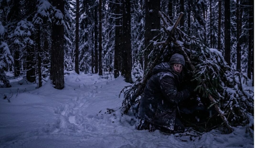 ellujäämine metsas ellujäämine külmas pimedas metsas