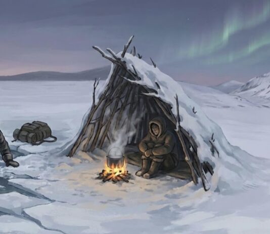 Ellujäämise ABC: Põhjalik ja praktiline juhend külmas kliimas toimetulekuks ellujäämine külmas kliimas