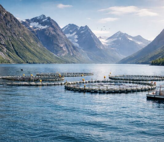 Norra merelõhekasvatus