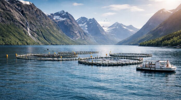 Norra merelõhekasvatus