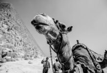 Egiptuse populaarsest kuurortlinnast vuhiseb nüüd vaid tuul läbi