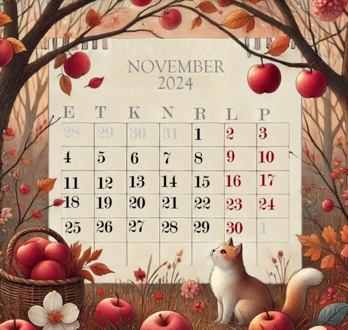 Novembri kalender, tähtpäevad ja sündmused