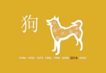 PÕHJALIK Hiina horoskoop 2018. aastaks: Vaata, mida toob sulle 15.veebruaril algav Koera aasta