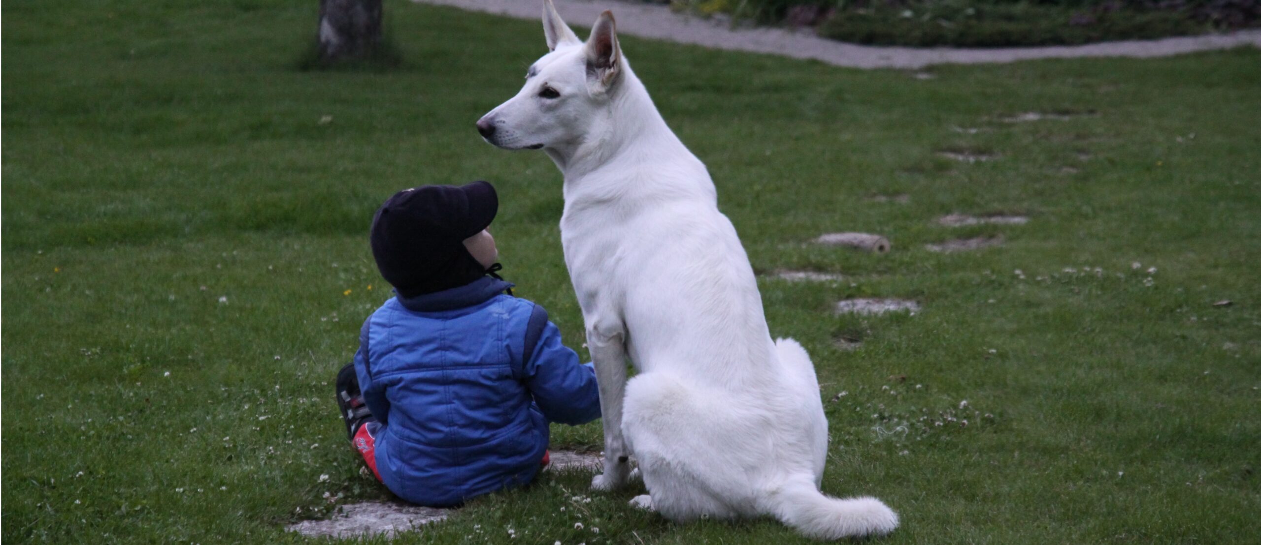 Uuring paljastab: Koera ja tema peremehe südamed löövad koos viibides samas rütmis
