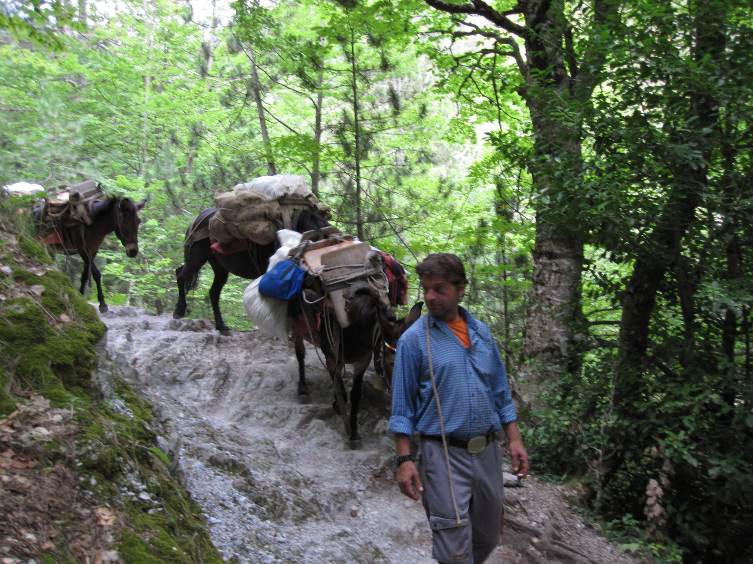 5 ENIM levinud küsimust, mida reisikindlustuse kohta teada soovitakse