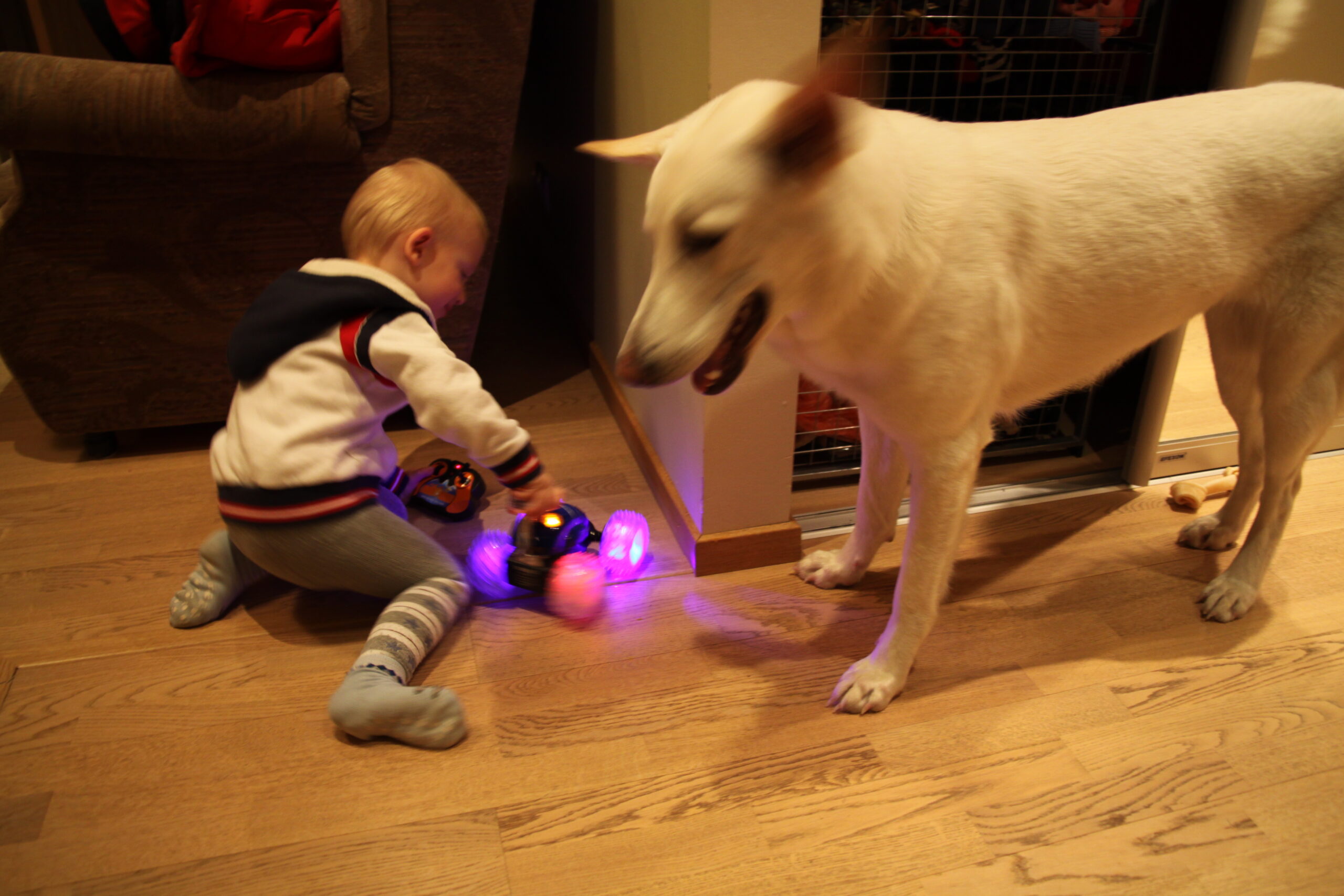 VÄLDI neid vigu ülemusele oma rasedusest teatamisel!