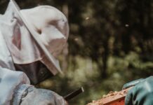 Austriaalia mõttekoja Breakthrough National Centre for Climate Restoration uuring: inimkond sureb välja 2050. aastaks