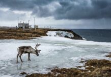 Arktika ilmastikuäärmused