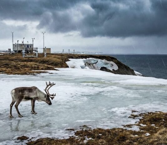 Arktika ilmastikuäärmused