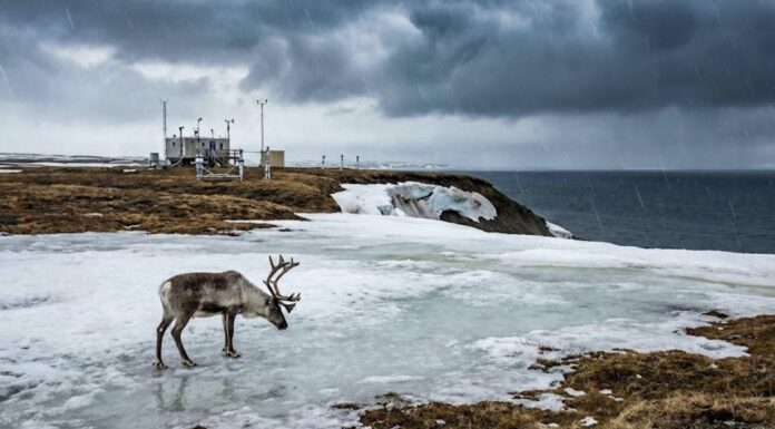 Arktika on sisenenud sagedaste ilmastikuäärmuste ajastusse Arktika ilmastikuäärmused