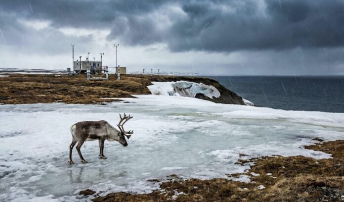 Arktika ilmastikuäärmused