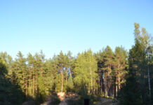 Reisi Eestis: Ruunaraipe luited Soomaa rahvuspargis + FOTOD!