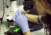 Stipendiumiprogramm “Naised teaduses”: taotlusvoor avatud