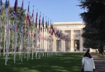 GYAN – Aktiivsete noorte ülemaailmne võrgustik. Mida GYAN pakub? Mida on GYAN seni saavutanud? Kuidas saate liituda?